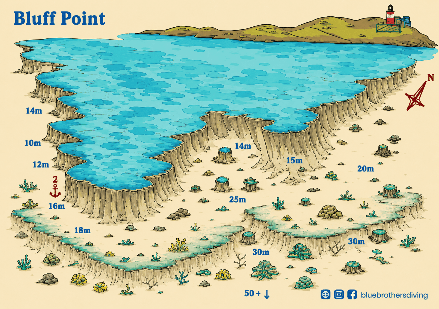Detailed dive site map of Bluff Point showing underwater topography, depths, and a lighthouse.