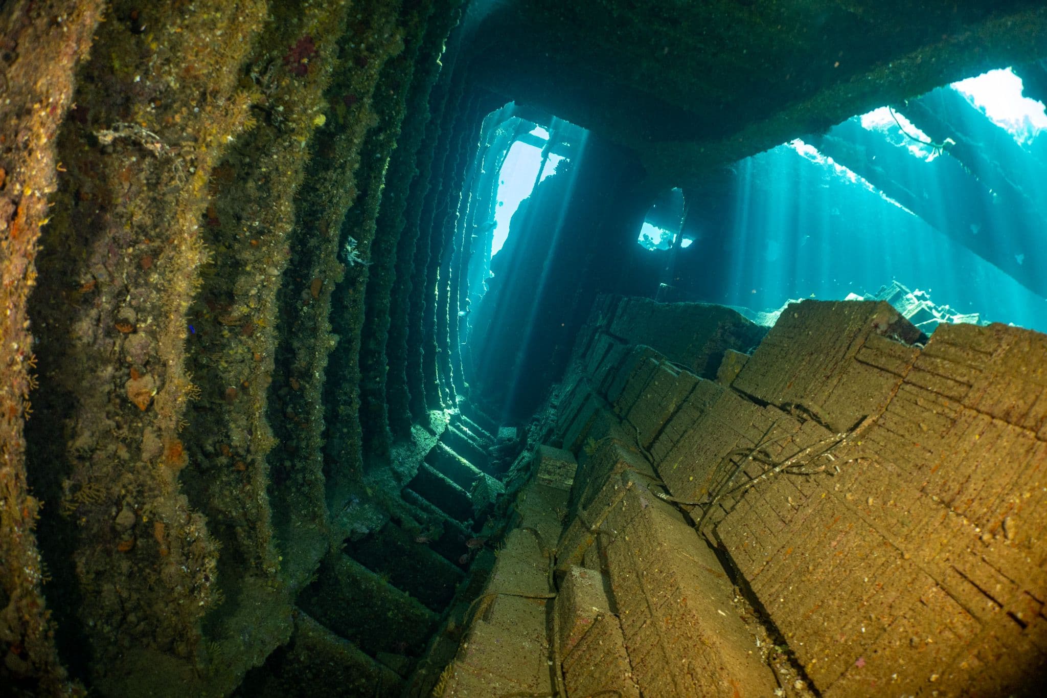 Diver exploring the inside of a Red Sea wreck