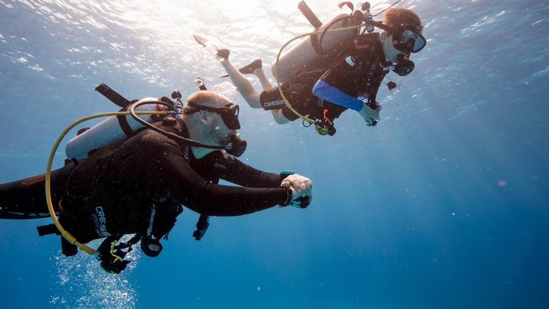 Two scuba divers silhouetted below the bright Red Sea surface