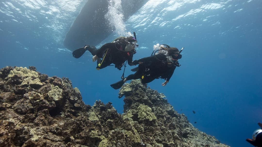 Divers swimming below the boat during drift dive training