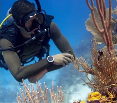Instructor coaching buoyancy control during a training dive