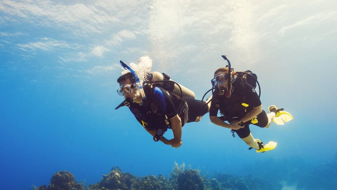 Two divers drifting in clear Red Sea water
