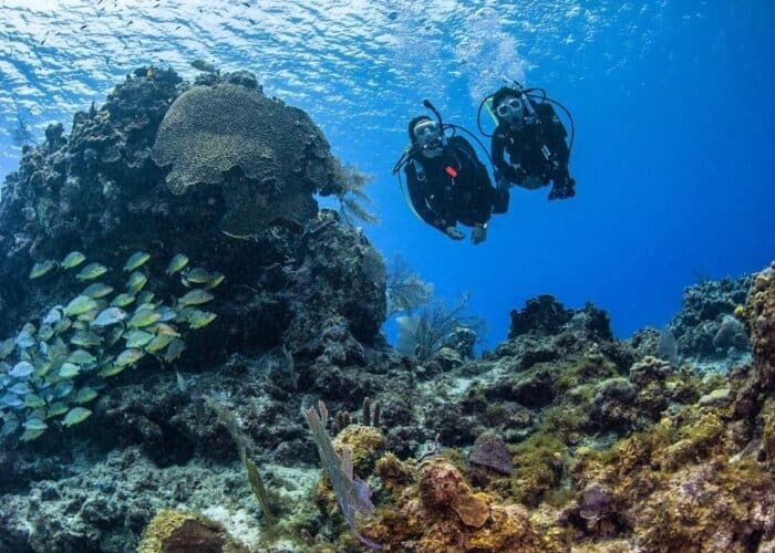 Discover Scuba Diving